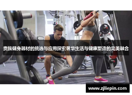 贵族健身器材的挑选与应用探索奢华生活与健康塑造的完美融合