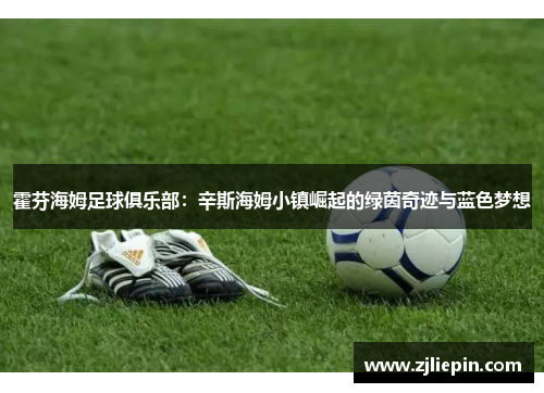 霍芬海姆足球俱乐部：辛斯海姆小镇崛起的绿茵奇迹与蓝色梦想