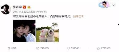 张翰吃瓜娱乐圈视频,一场吃瓜大作战